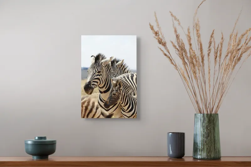 Tablou Canvas, "Familie de zebre în savană africană", Zebre, Dungate, Natură, Savana, Familie, Pășunat, Vânt, Peisaj, Harmonie, Curiozitate, 26 x 39 cm – poza 5