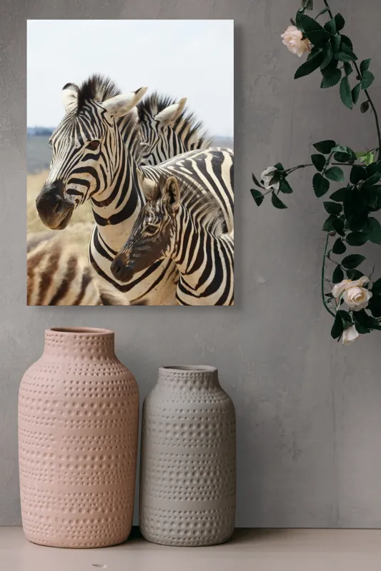 Tablou Canvas, "Familie de zebre în savană africană", Zebre, Dungate, Natură, Savana, Familie, Pășunat, Vânt, Peisaj, Harmonie, Curiozitate, 39 x 54 cm – poza 6