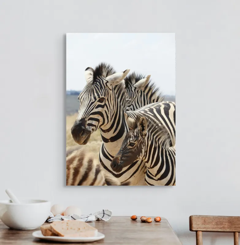 Tablou Canvas, "Familie de zebre în savană africană", Zebre, Dungate, Natură, Savana, Familie, Pășunat, Vânt, Peisaj, Harmonie, Curiozitate, 50 x 70 cm – poza 3