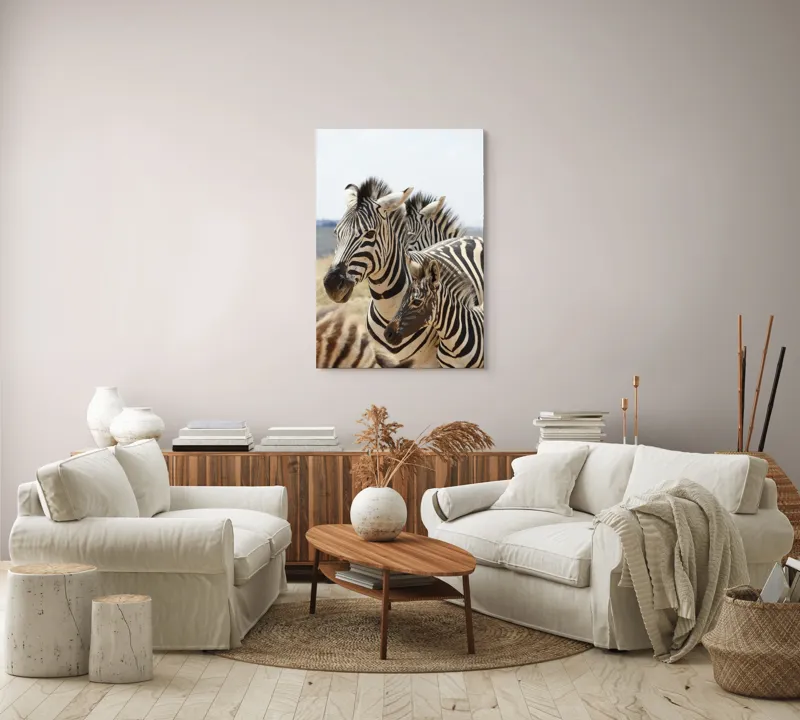 Tablou Canvas, "Familie de zebre în savană africană", Zebre, Dungate, Natură, Savana, Familie, Pășunat, Vânt, Peisaj, Harmonie, Curiozitate, 70 x 100 cm – poza 4