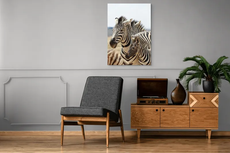 Tablou Canvas, "Familie de zebre în savană africană", Zebre, Dungate, Natură, Savana, Familie, Pășunat, Vânt, Peisaj, Harmonie, Curiozitate, 70 x 100 cm – poza 6