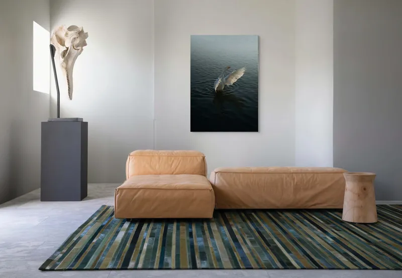 Tablou Canvas, "Dansul grațios al lebedei albe", Pasăre, Apă, Aripi, Alb, Răsărit, Serenitate, Mișcare, Plutire, 70 x 100 cm – poza 7