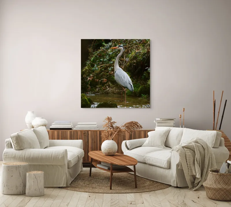 Tablou Canvas, "Stolul elegant al stârcii cenușii", Elegant, Stălucitor, Grațios, Pădure, Râu, Verdeață, Rocă, Natura, Reflecție, Serenitate, 100 x 100 cm – poza 3