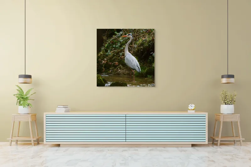 Tablou Canvas, "Stolul elegant al stârcii cenușii", Elegant, Stălucitor, Grațios, Pădure, Râu, Verdeață, Rocă, Natura, Reflecție, Serenitate, 100 x 100 cm – poza 5