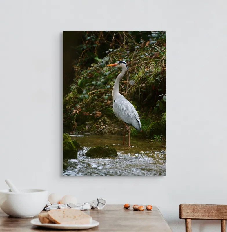 Tablou Canvas, "Stolul elegant al stârcii cenușii", Elegant, Stălucitor, Grațios, Pădure, Râu, Verdeață, Rocă, Natura, Reflecție, Serenitate, 50 x 70 cm – poza 3