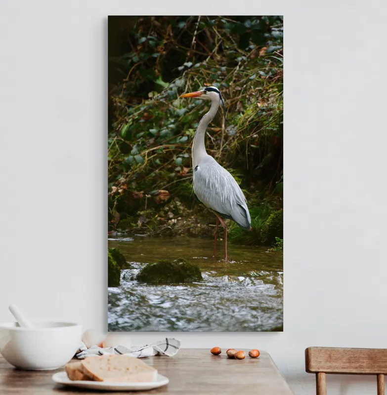 Tablou Canvas, "Stolul elegant al stârcii cenușii", Elegant, Stălucitor, Grațios, Pădure, Râu, Verdeață, Rocă, Natura, Reflecție, Serenitate, 50 x 90 cm – poza 3