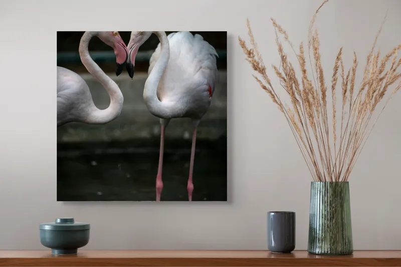 Tablou Canvas, "Flamingo în dansul iubirii tandre", Flamingo, Grație, Reflecție, Eleganță, Simetrie, Lumină, Apă, Natură, 50 x 50 cm – poza 4
