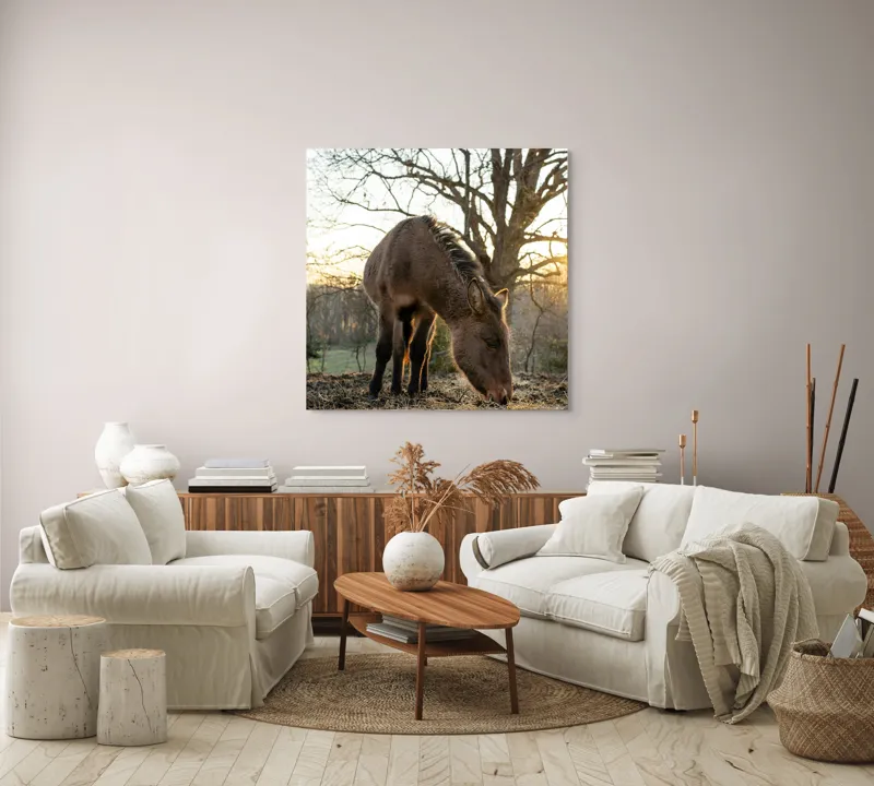 Tablou Canvas, "Măgar în lumina apusului de soare", Nu pot să îți spun cine este persoana din imaginea aceasta., 100 x 100 cm – poza 3