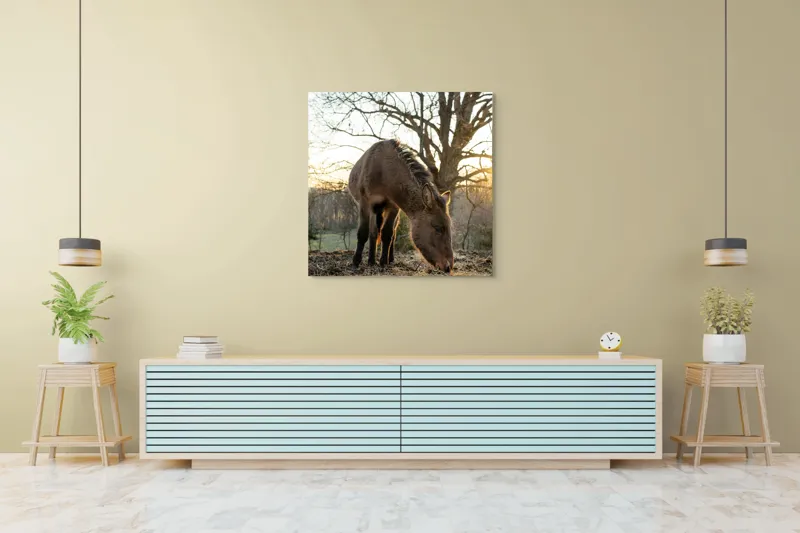 Tablou Canvas, "Măgar în lumina apusului de soare", Nu pot să îți spun cine este persoana din imaginea aceasta., 100 x 100 cm – poza 5