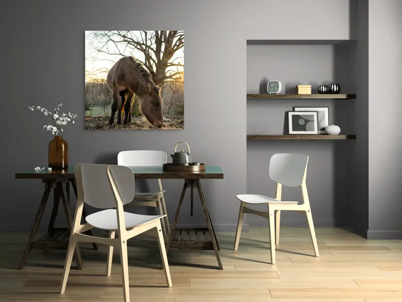 Tablou Canvas, "Măgar în lumina apusului de soare", Nu pot să îți spun cine este persoana din imaginea aceasta., 100 x 100 cm – poza 6
