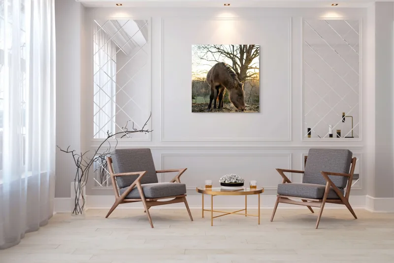 Tablou Canvas, "Măgar în lumina apusului de soare", Nu pot să îți spun cine este persoana din imaginea aceasta., 100 x 100 cm – poza 7