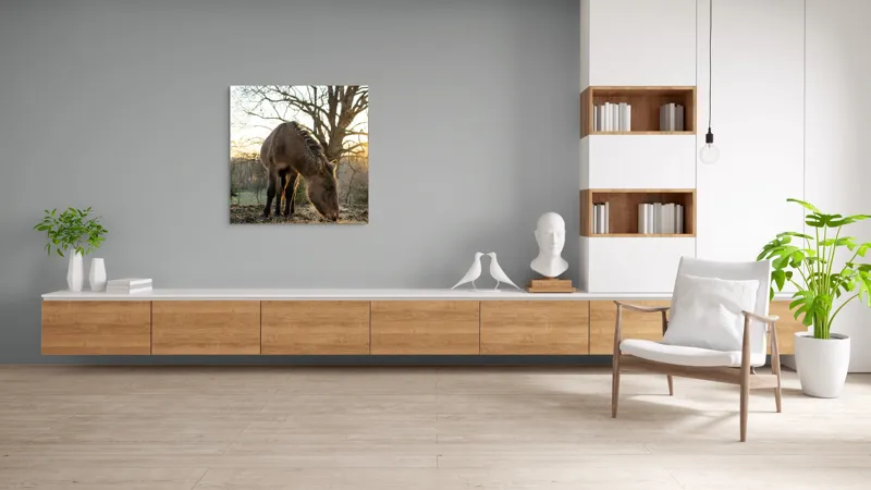 Tablou Canvas, "Măgar în lumina apusului de soare", Nu pot să îți spun cine este persoana din imaginea aceasta., 100 x 100 cm – poza 8