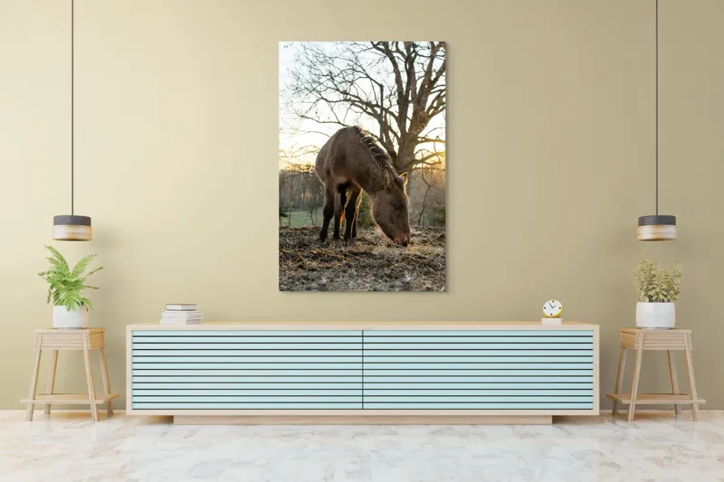 Tablou Canvas, "Măgar în lumina apusului de soare", Nu pot să îți spun cine este persoana din imaginea aceasta., 100 x 150 cm – poza 4
