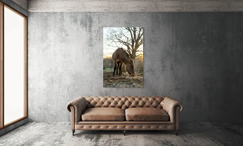 Tablou Canvas, "Măgar în lumina apusului de soare", Nu pot să îți spun cine este persoana din imaginea aceasta., 100 x 150 cm – poza 6