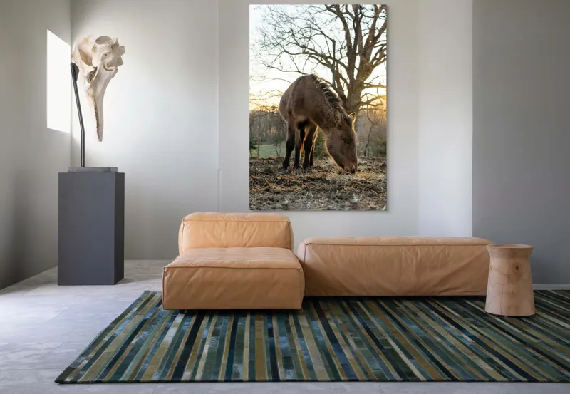Tablou Canvas, "Măgar în lumina apusului de soare", Nu pot să îți spun cine este persoana din imaginea aceasta., 100 x 150 cm – poza 7