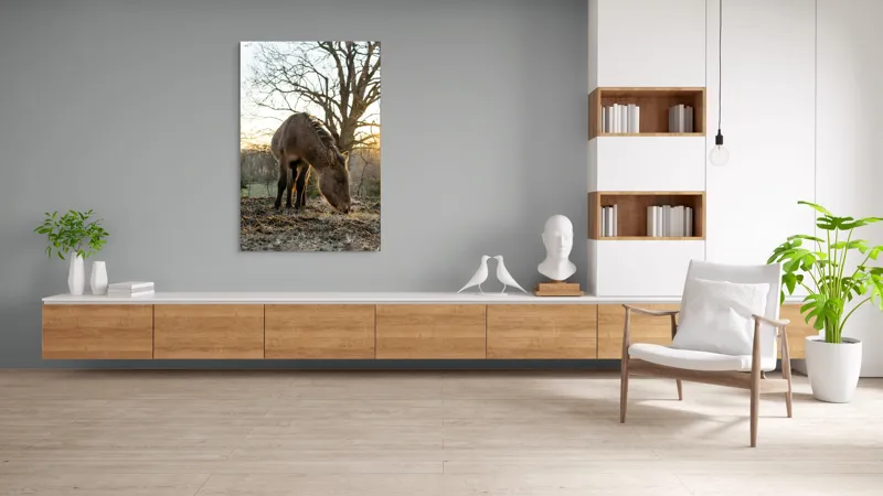 Tablou Canvas, "Măgar în lumina apusului de soare", Nu pot să îți spun cine este persoana din imaginea aceasta., 100 x 150 cm – poza 8