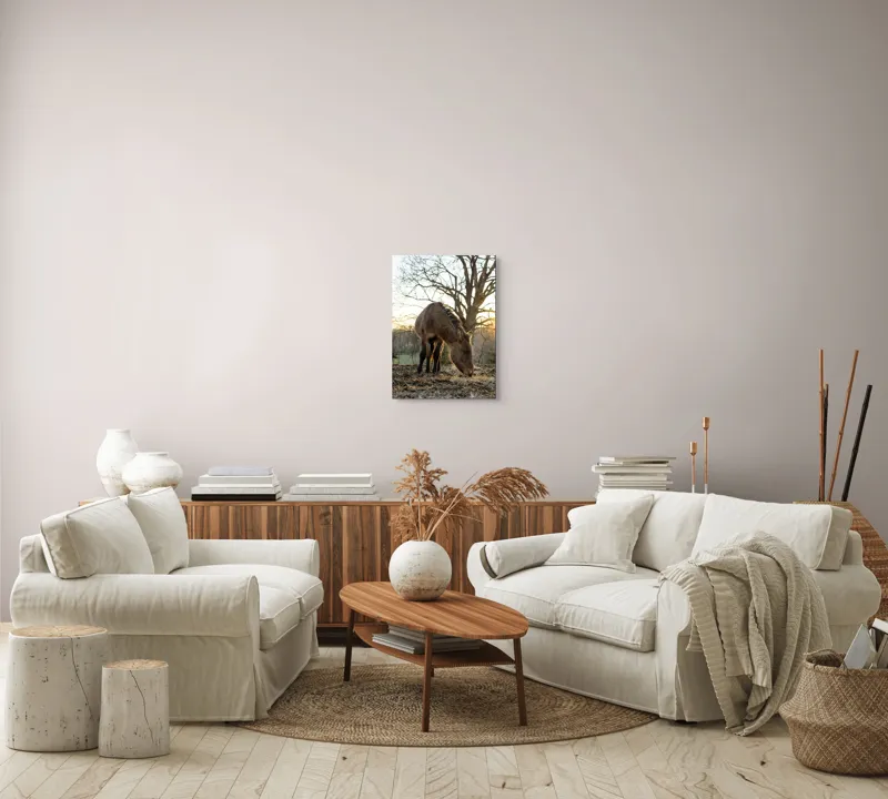 Tablou Canvas, "Măgar în lumina apusului de soare", Nu pot să îți spun cine este persoana din imaginea aceasta., 39 x 54 cm – poza 5