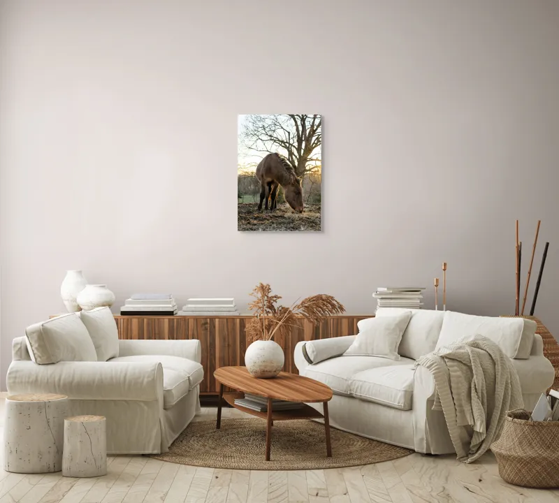 Tablou Canvas, "Măgar în lumina apusului de soare", Nu pot să îți spun cine este persoana din imaginea aceasta., 50 x 70 cm – poza 4