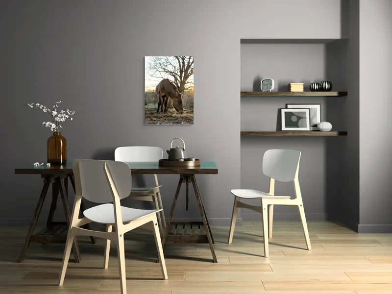 Tablou Canvas, "Măgar în lumina apusului de soare", Nu pot să îți spun cine este persoana din imaginea aceasta., 50 x 70 cm – poza 5
