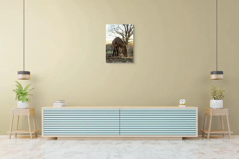 Tablou Canvas, "Măgar în lumina apusului de soare", Nu pot să îți spun cine este persoana din imaginea aceasta., 50 x 70 cm – poza 6