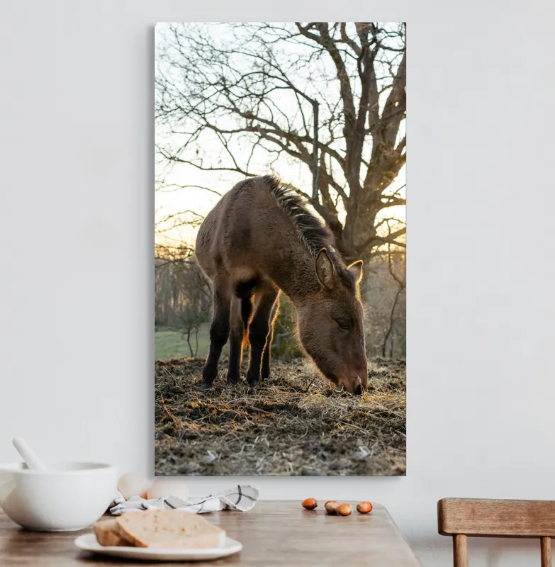 Tablou Canvas, "Măgar în lumina apusului de soare", Nu pot să îți spun cine este persoana din imaginea aceasta., 50 x 90 cm – poza 3