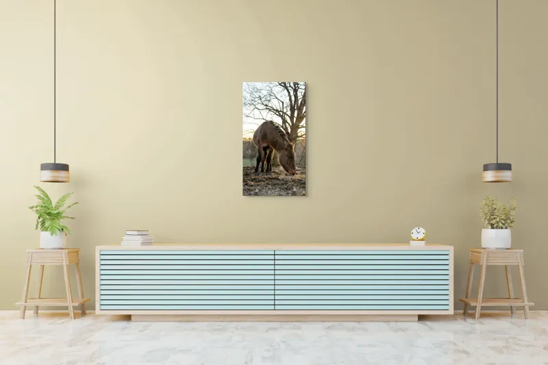 Tablou Canvas, "Măgar în lumina apusului de soare", Nu pot să îți spun cine este persoana din imaginea aceasta., 50 x 90 cm – poza 6