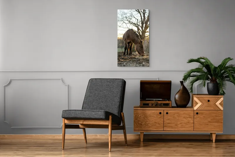 Tablou Canvas, "Măgar în lumina apusului de soare", Nu pot să îți spun cine este persoana din imaginea aceasta., 50 x 90 cm – poza 8