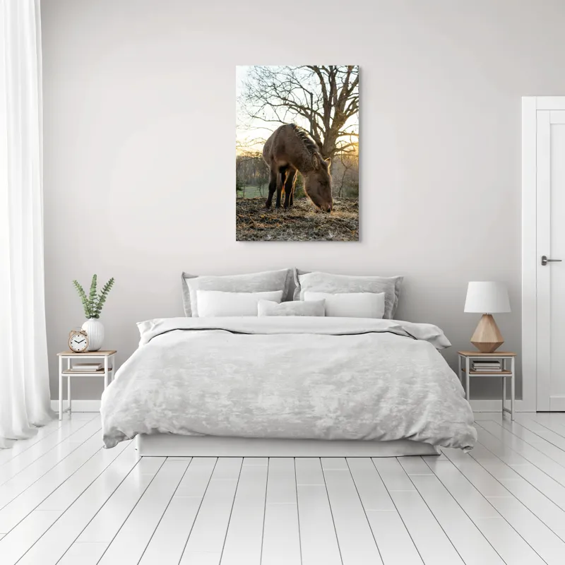 Tablou Canvas, "Măgar în lumina apusului de soare", Nu pot să îți spun cine este persoana din imaginea aceasta., 70 x 100 cm – poza 3