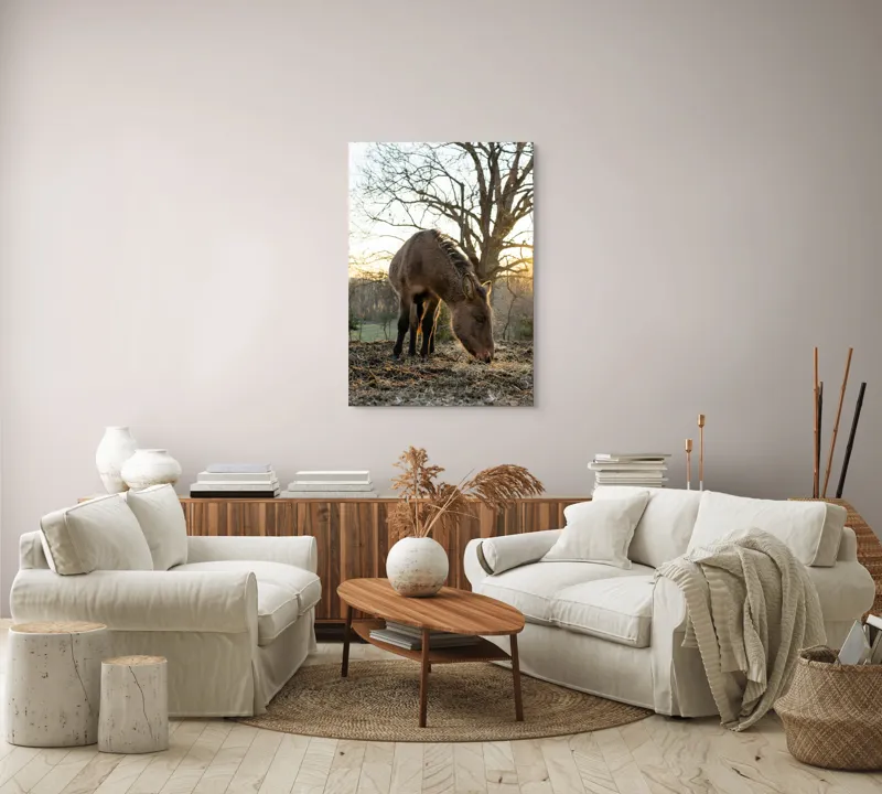 Tablou Canvas, "Măgar în lumina apusului de soare", Nu pot să îți spun cine este persoana din imaginea aceasta., 70 x 100 cm – poza 4
