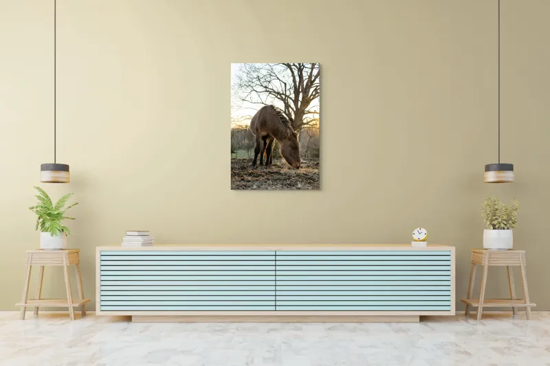 Tablou Canvas, "Măgar în lumina apusului de soare", Nu pot să îți spun cine este persoana din imaginea aceasta., 70 x 100 cm – poza 5
