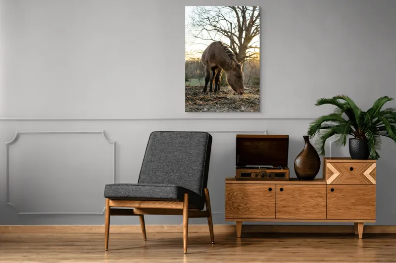 Tablou Canvas, "Măgar în lumina apusului de soare", Nu pot să îți spun cine este persoana din imaginea aceasta., 70 x 100 cm – poza 6