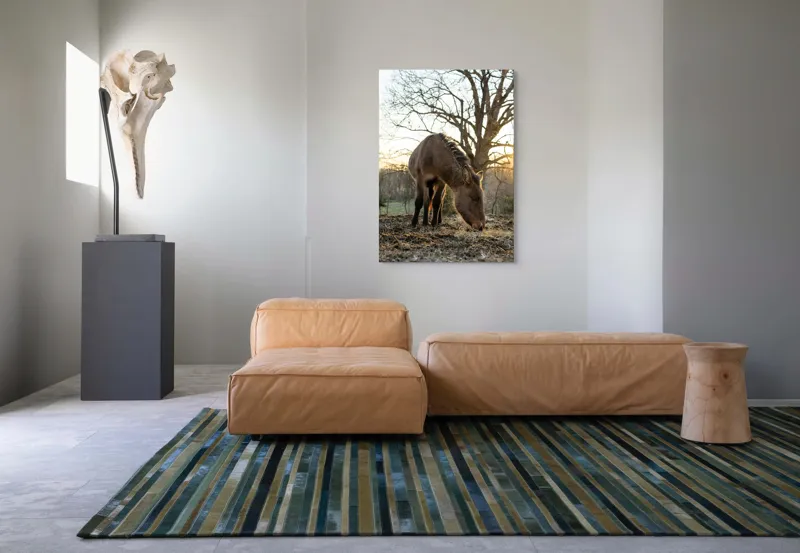Tablou Canvas, "Măgar în lumina apusului de soare", Nu pot să îți spun cine este persoana din imaginea aceasta., 70 x 100 cm – poza 7