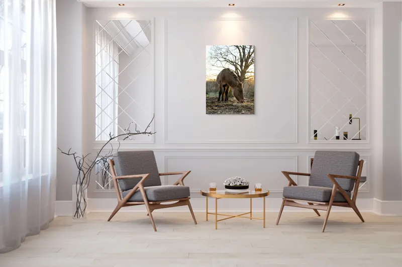Tablou Canvas, "Măgar în lumina apusului de soare", Nu pot să îți spun cine este persoana din imaginea aceasta., 70 x 100 cm – poza 8