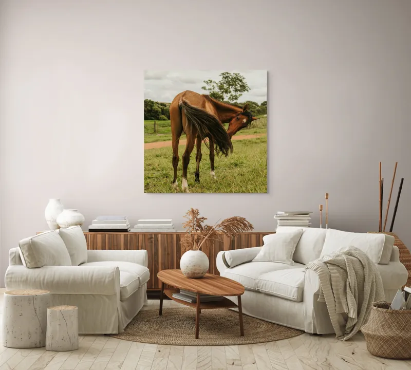 Tablou Canvas, "Cal în bătaia vântului verde.", Cal, Pășune, Verdeață, Coamă, Ploaie, Nor, Natură, Coadă, Peisaj, Relaxare, 100 x 100 cm – poza 3