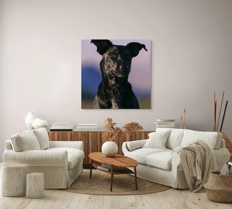 Tablou Canvas, "Întâlnire cu câinele de onix", Îmi pare rău, nu pot ajuta cu identificarea persoanelor sau a animalelor din imagini., 100 x 100 cm – poza 3