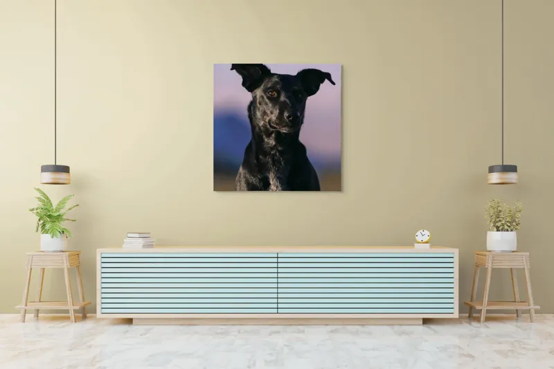 Tablou Canvas, "Întâlnire cu câinele de onix", Îmi pare rău, nu pot ajuta cu identificarea persoanelor sau a animalelor din imagini., 100 x 100 cm – poza 5
