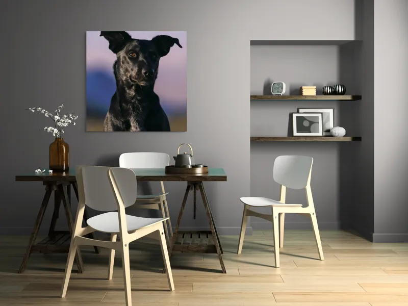 Tablou Canvas, "Întâlnire cu câinele de onix", Îmi pare rău, nu pot ajuta cu identificarea persoanelor sau a animalelor din imagini., 100 x 100 cm – poza 6