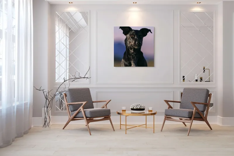 Tablou Canvas, "Întâlnire cu câinele de onix", Îmi pare rău, nu pot ajuta cu identificarea persoanelor sau a animalelor din imagini., 100 x 100 cm – poza 7