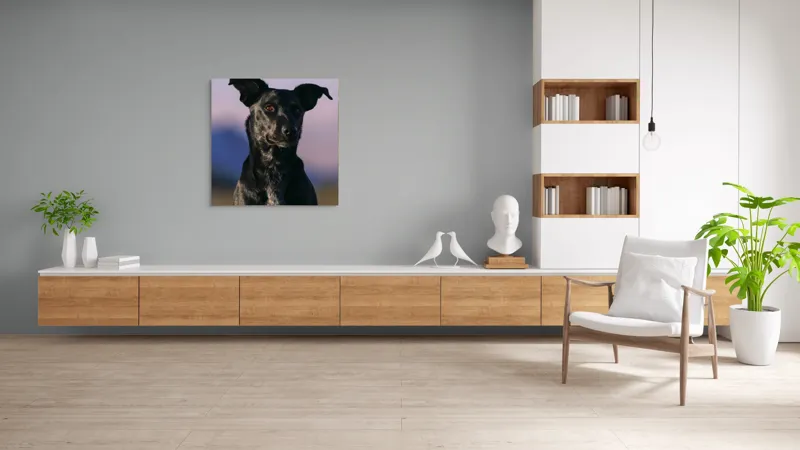 Tablou Canvas, "Întâlnire cu câinele de onix", Îmi pare rău, nu pot ajuta cu identificarea persoanelor sau a animalelor din imagini., 100 x 100 cm – poza 8