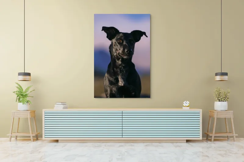 Tablou Canvas, "Întâlnire cu câinele de onix", 100 x 150 cm – poza 4