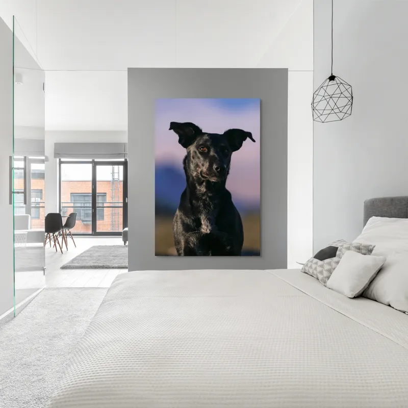 Tablou Canvas, "Întâlnire cu câinele de onix", 100 x 150 cm – poza 5