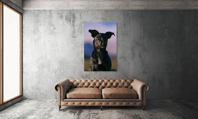 Tablou Canvas, "Întâlnire cu câinele de onix", 100 x 150 cm – poza 6