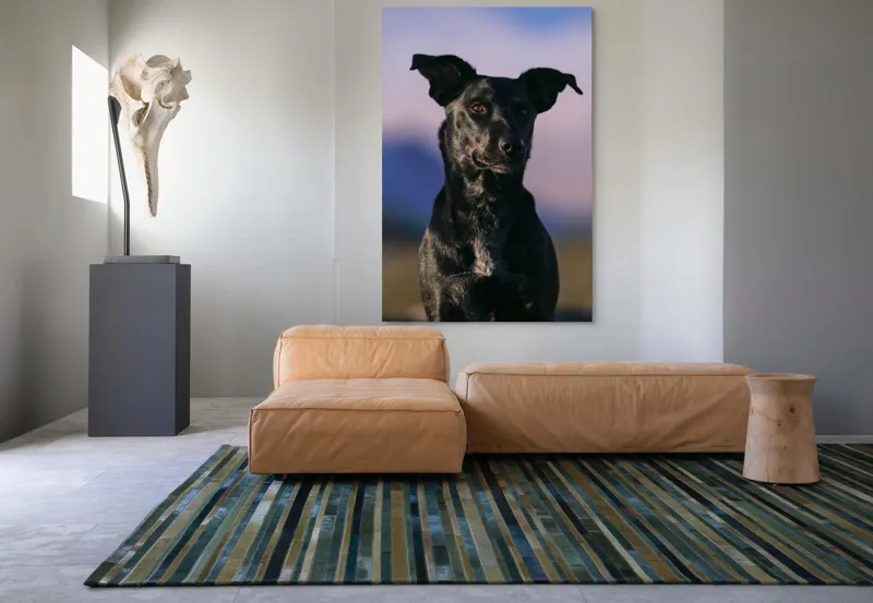 Tablou Canvas, "Întâlnire cu câinele de onix", 100 x 150 cm – poza 7