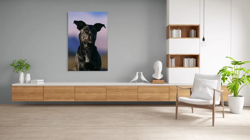 Tablou Canvas, "Întâlnire cu câinele de onix", 100 x 150 cm – poza 8