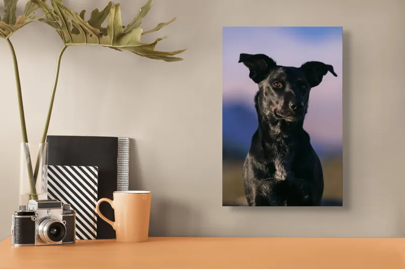 Tablou Canvas, "Întâlnire cu câinele de onix", 26 x 39 cm – poza 3