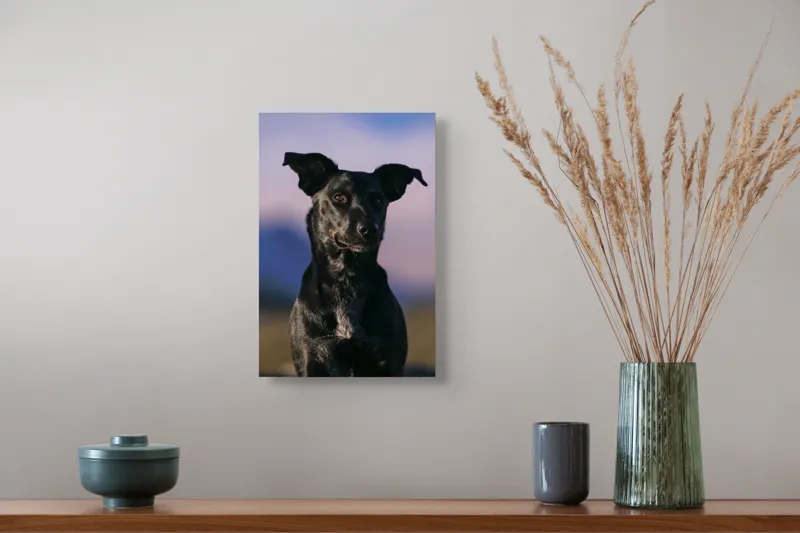 Tablou Canvas, "Întâlnire cu câinele de onix", 26 x 39 cm – poza 5