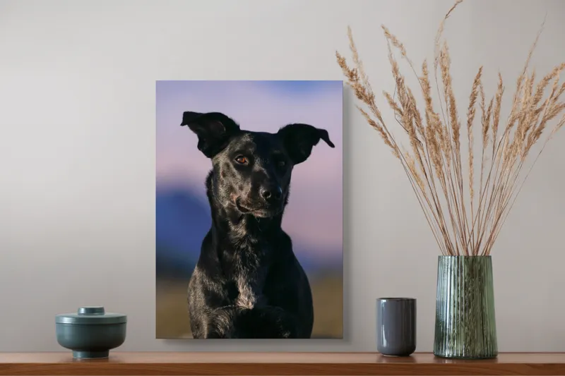 Tablou Canvas, "Întâlnire cu câinele de onix", Îmi pare rău, nu pot ajuta cu identificarea persoanelor sau a animalelor din imagini., 39 x 54 cm – poza 3