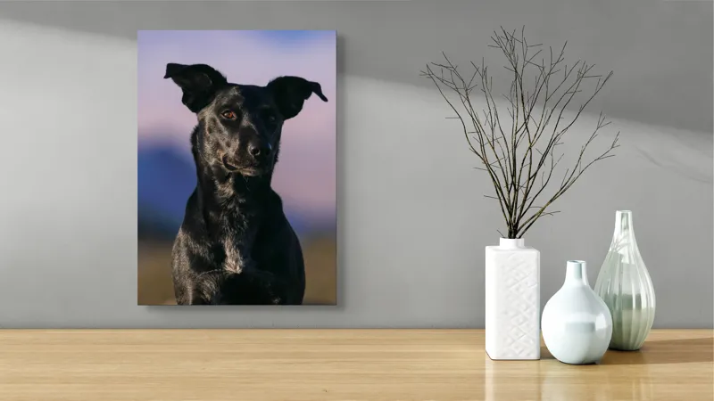Tablou Canvas, "Întâlnire cu câinele de onix", Îmi pare rău, nu pot ajuta cu identificarea persoanelor sau a animalelor din imagini., 39 x 54 cm – poza 4