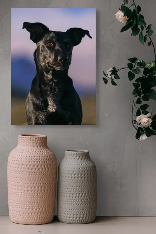 Tablou Canvas, "Întâlnire cu câinele de onix", Îmi pare rău, nu pot ajuta cu identificarea persoanelor sau a animalelor din imagini., 39 x 54 cm – poza 6