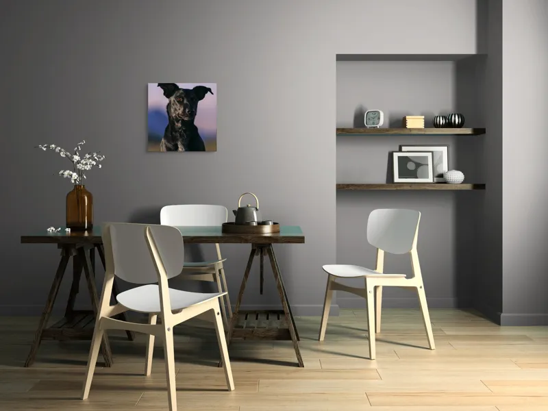 Tablou Canvas, "Întâlnire cu câinele de onix", 50 x 50 cm – poza 8